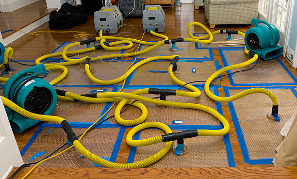 Professional Crawl Space Water Removal technician working in Booneville, MS
